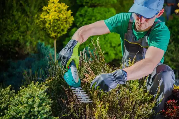 landscaping services Brady